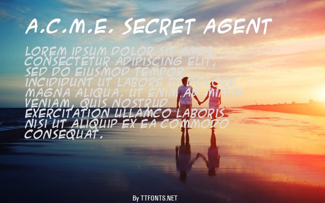 A.C.M.E. Secret Agent example